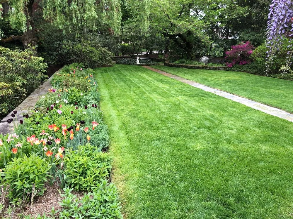 Local landscape design with custom design in Yonkers, NY by North Eastern Tree, Shrub & Lawn Care