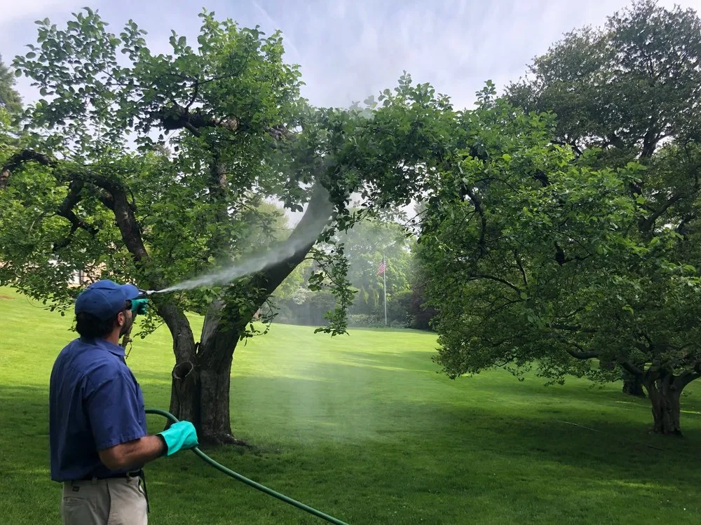 Custom yard cleanup service for outdoor upgrades in Yonkers, NY by North Eastern Tree, Shrub & Lawn Care