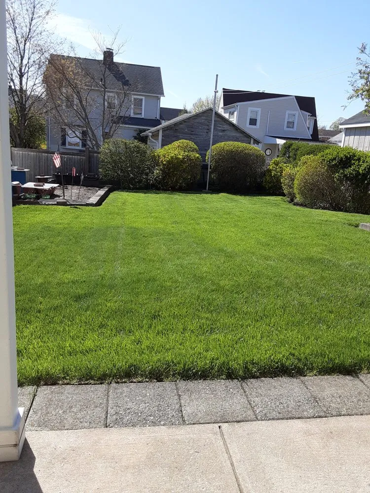 Reliable outdoor landscaping in Yonkers, NY - North Eastern Tree, Shrub & Lawn Care