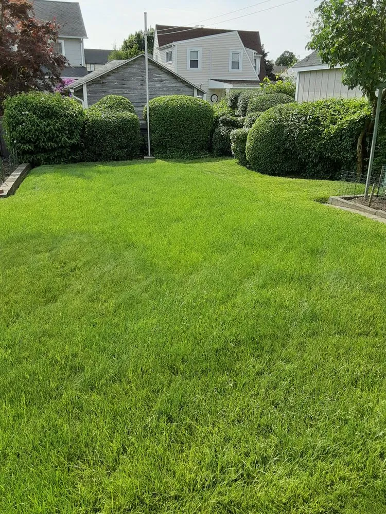 Reliable landscaping services for beautiful yards across Yonkers, NY - North Eastern Tree, Shrub & Lawn Care