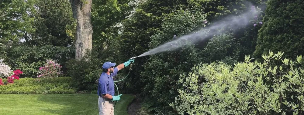 Custom landscaping services experts serving Yonkers, NY - North Eastern Tree, Shrub & Lawn Care