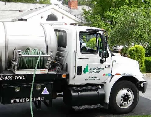 Custom landscaping services for beautiful yards in Yonkers, NY by North Eastern Tree, Shrub & Lawn Care