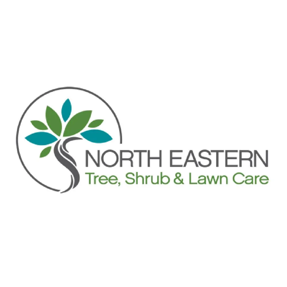 Top-rated yard maintenance with custom design across Yonkers, NY - North Eastern Tree, Shrub & Lawn Care