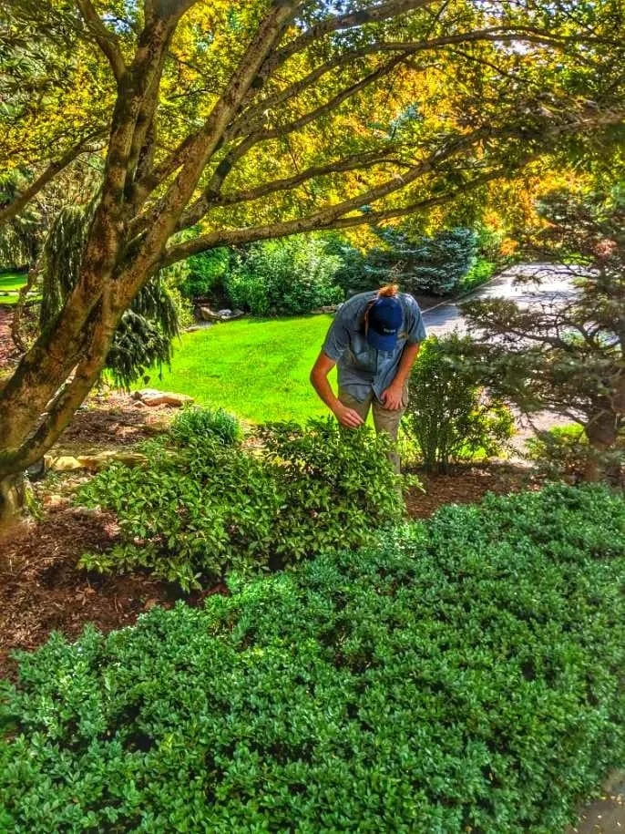 Trusted garden landscaping in Yonkers, NY by North Eastern Tree, Shrub & Lawn Care