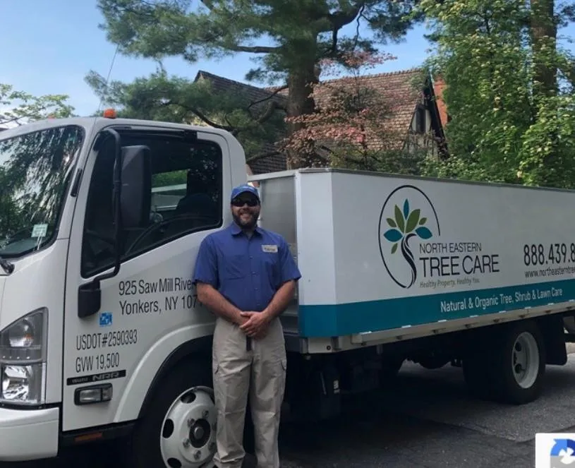 Trusted landscape design experts serving Stamford, CT - North Eastern Tree Shrub and Lawn care