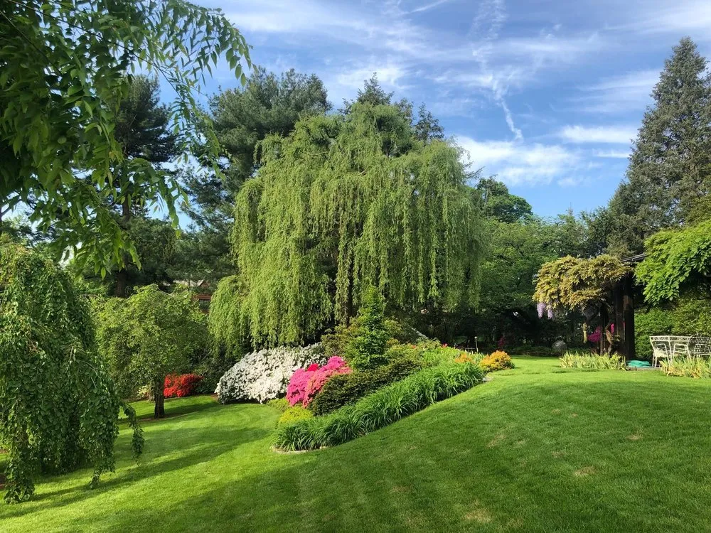 Trusted yard maintenance for year-round maintenance across Stamford, CT - North Eastern Tree Shrub and Lawn care