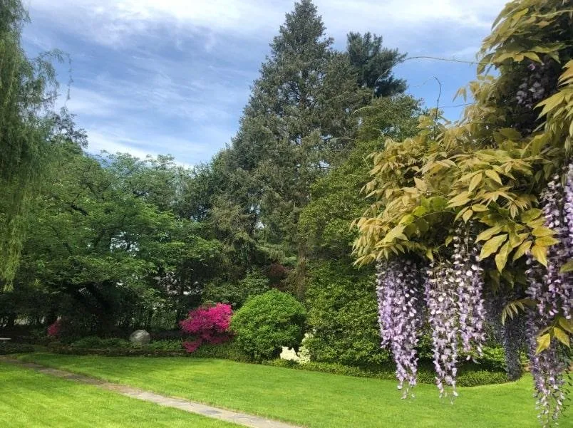 Local outdoor landscaping experts serving Stamford, CT - North Eastern Tree Shrub and Lawn care