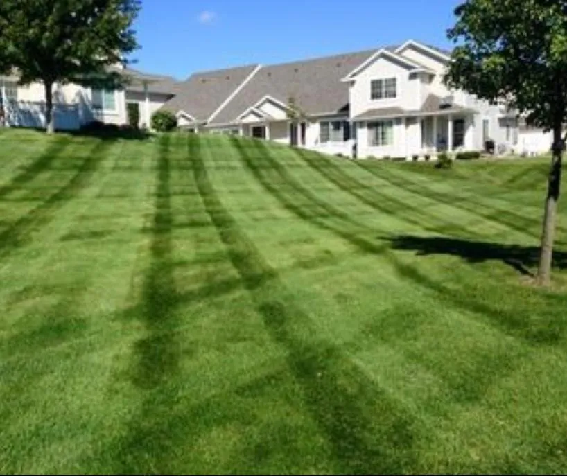 Local landscape design in Stamford, CT by North Eastern Tree Shrub and Lawn care