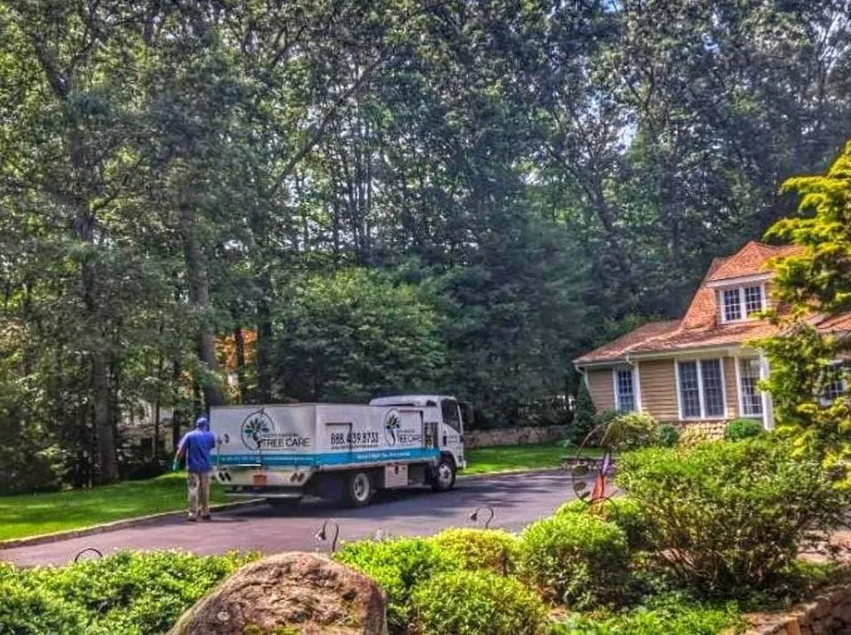 Affordable lawn mowing service for residential properties in Stamford, CT by North Eastern Tree Shrub and Lawn care