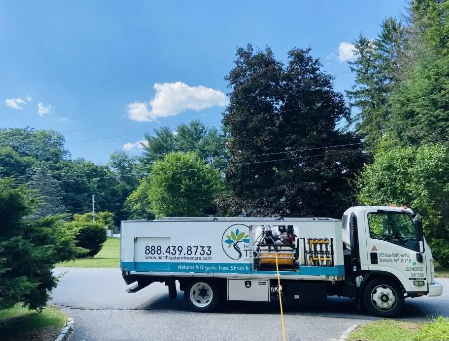 Custom landscaping services experts serving Stamford, CT - North Eastern Tree Shrub and Lawn care