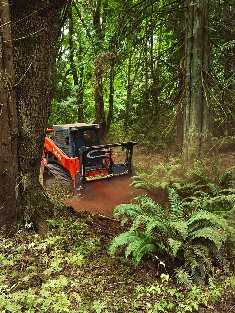 Affordable yard maintenance for beautiful yards across Federal Way, WA - North End Forestry Services