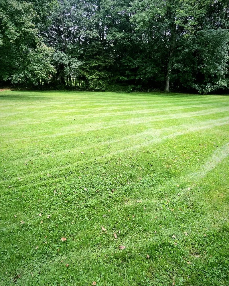 Trusted landscape design in Bridgeport, CT - North End Landscaping Service