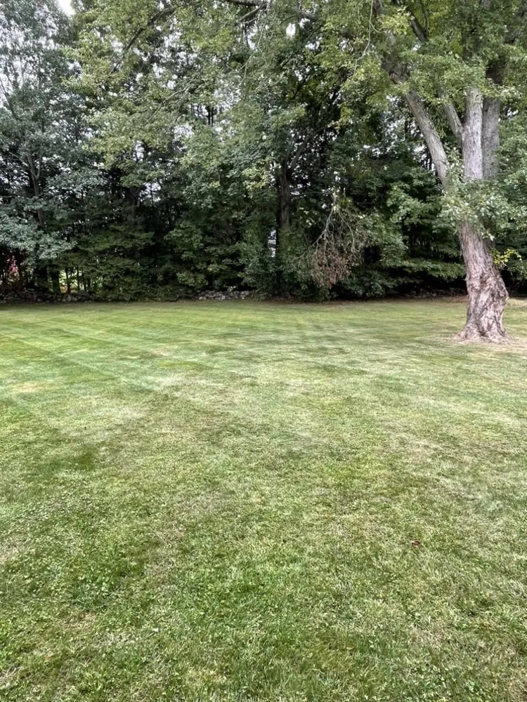 Top-rated lawn care service for homes in Bridgeport, CT by North End Landscaping Service