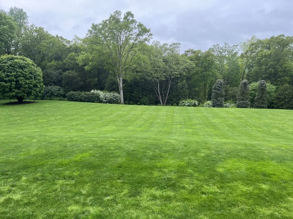 Top-rated residential landscaping with custom design across Bridgeport, CT - North End Landscaping Service