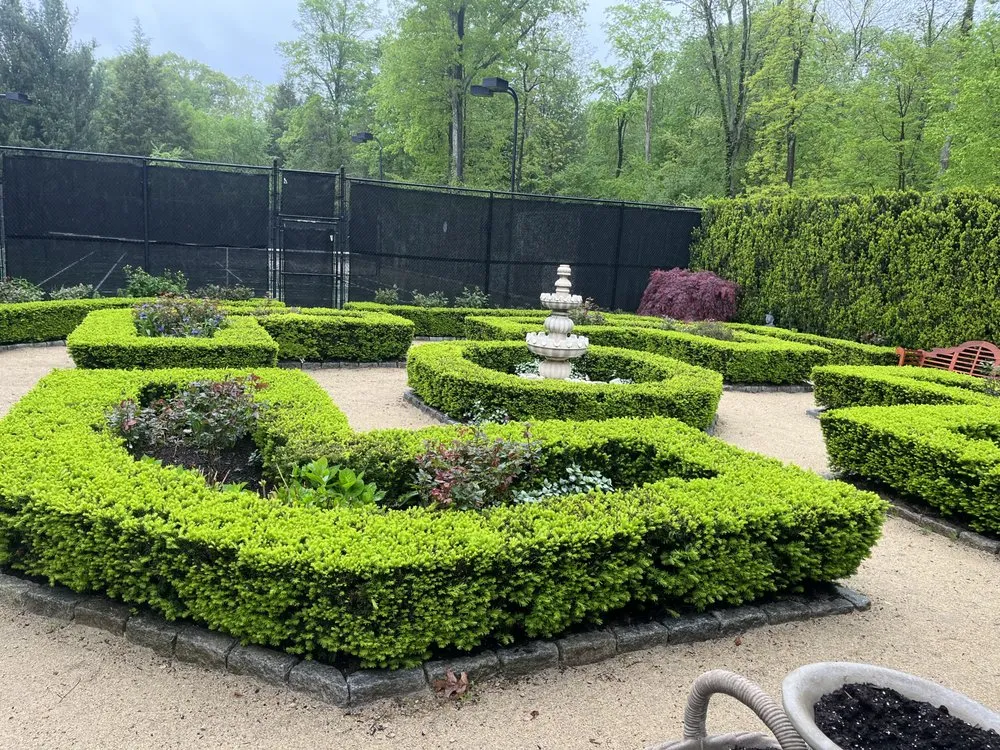 Custom yard cleanup service near you across Bridgeport, CT - North End Landscaping Service