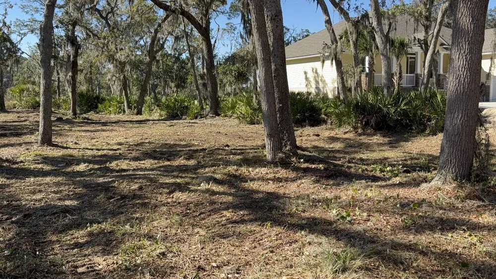 Local lawn care service near you across Callahan, FL - North Florida Brush Control