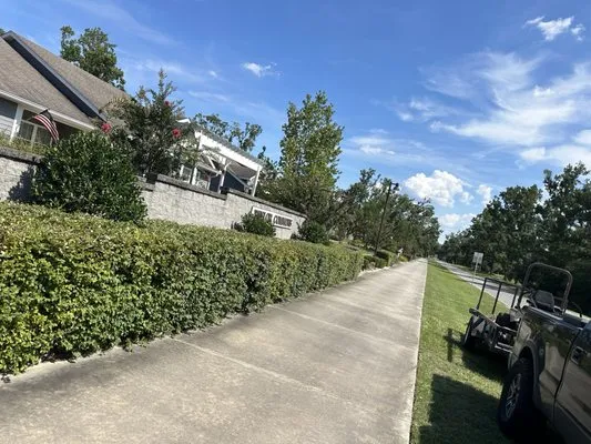 North Florida Property Solutions