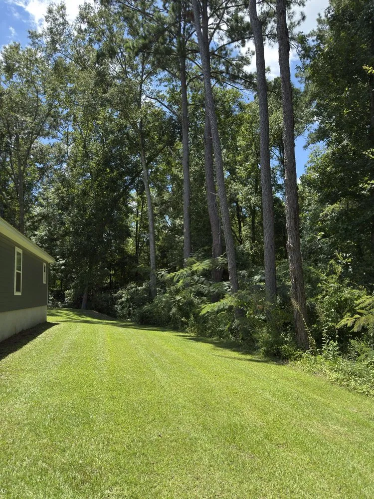 Professional residential landscaping near you in Gadsden county, FL by North Florida Yard Ninjas