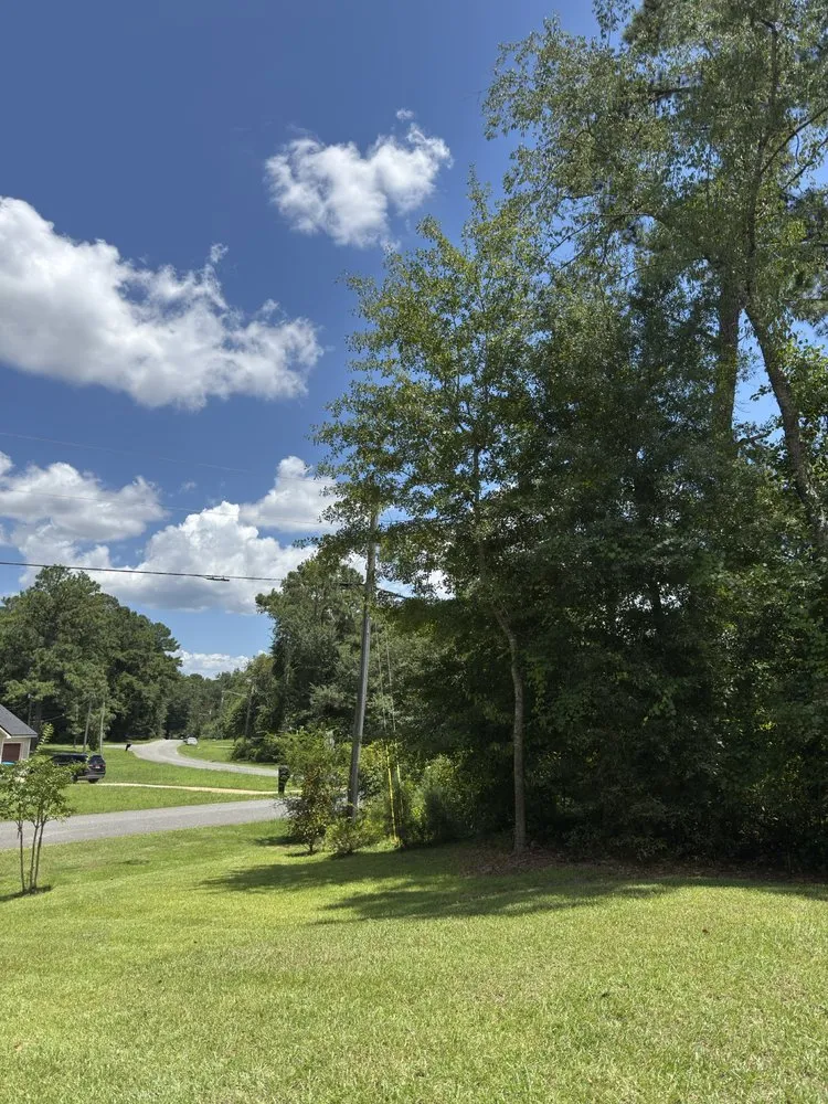 Affordable residential landscaping for beautiful yards in Gadsden county, FL by North Florida Yard Ninjas