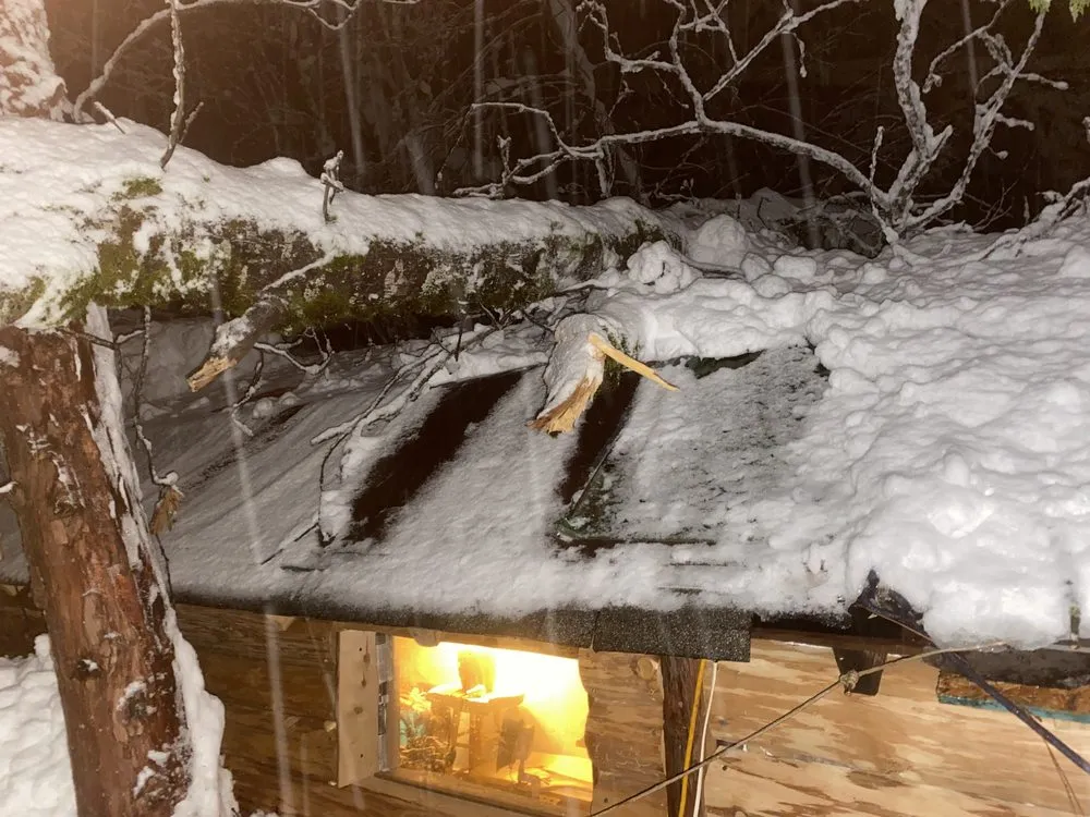 Local lawn mowing service for year-round maintenance in Grass Valley, CA by North Forty Yard Work and More