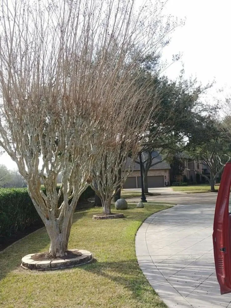 Trusted lawn mowing service for year-round maintenance in Winder, GA by North Ga Lawn Care & Landscaping