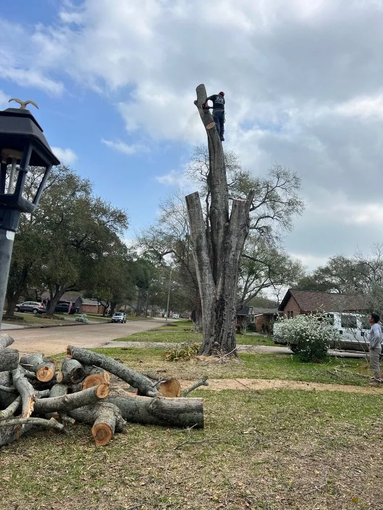 Professional residential landscaping experts serving East Point, GA - North Gardening