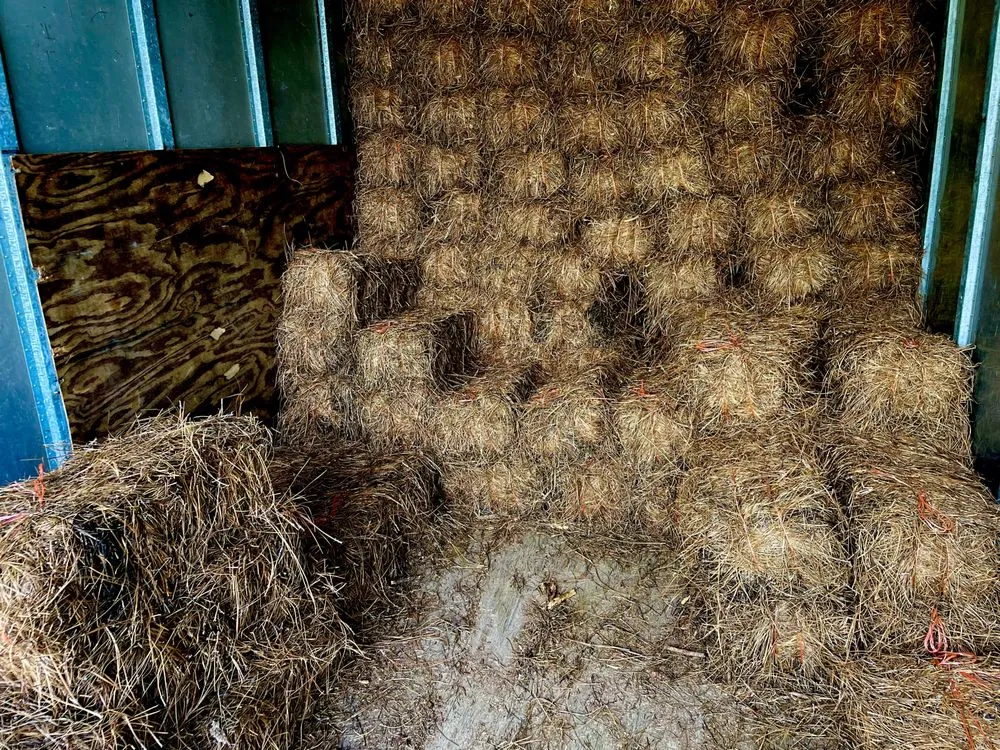 Affordable landscape design for homes across Johns Creek, GA - North Georgia Garden & Landscape