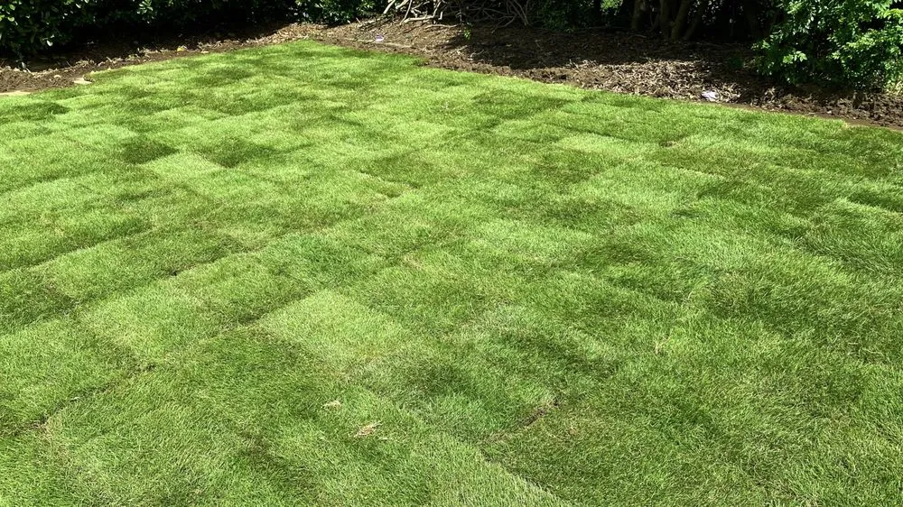 Custom yard cleanup service for residential properties across Johns Creek, GA - North Georgia Garden & Landscape