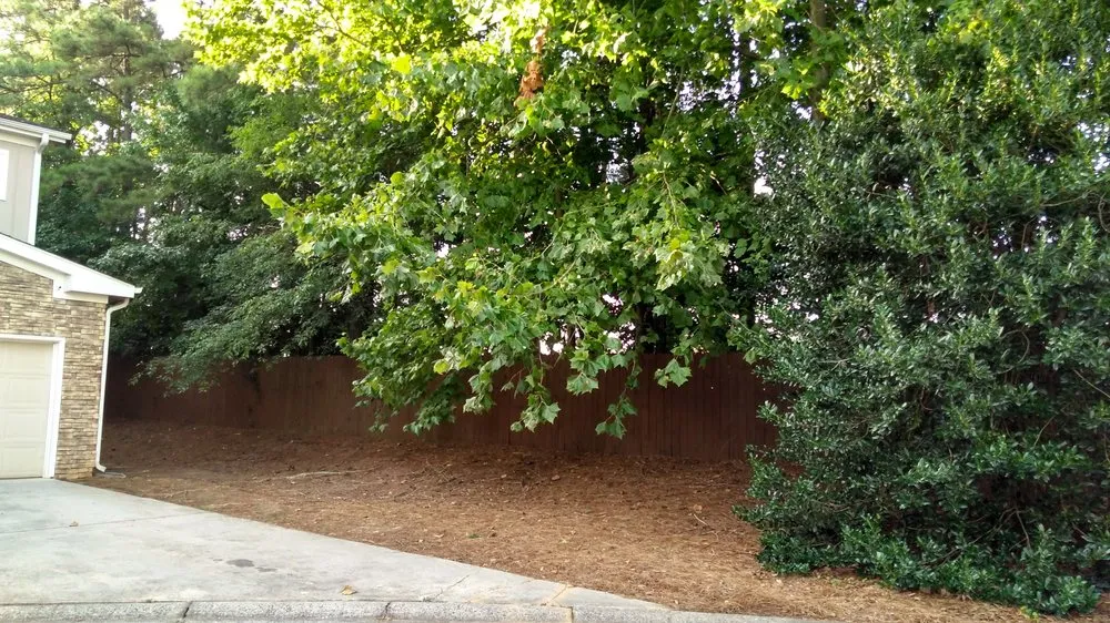 Reliable landscaping services in Alpharetta, GA by North Georgia Landscape Management
