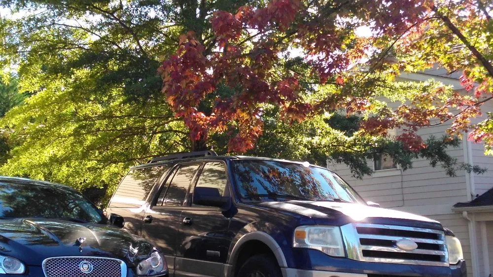 Professional landscape installation in Alpharetta, GA - North Georgia Landscape Management