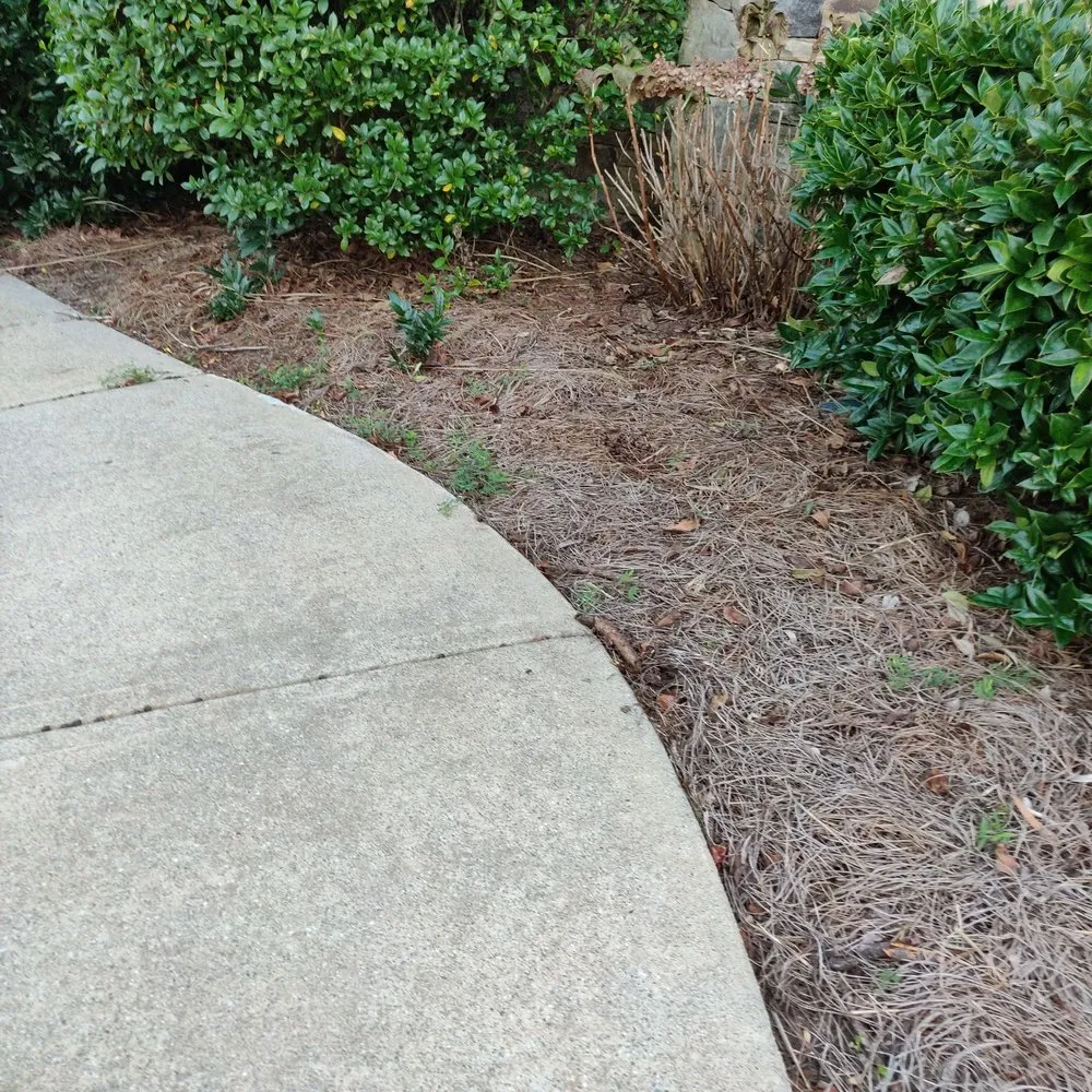 Professional yard maintenance for year-round maintenance across Buford, GA - North Georgia Lawn