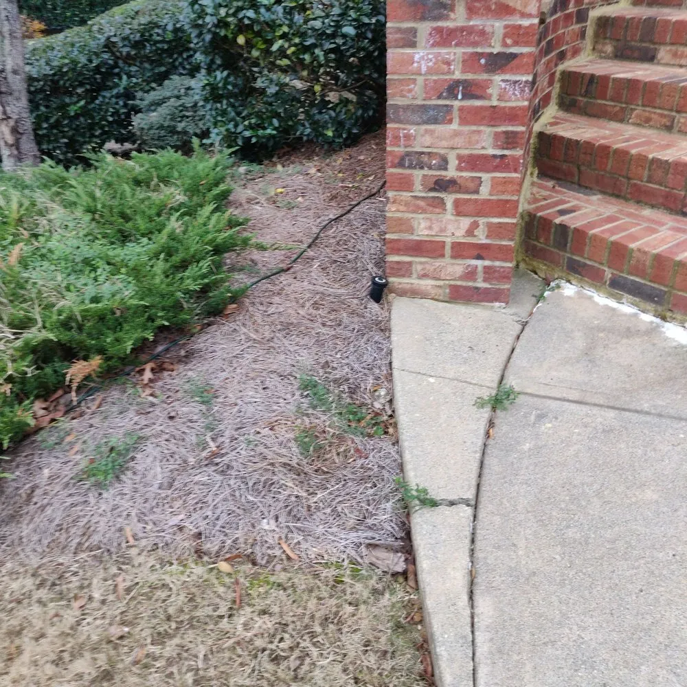 Top-rated outdoor landscaping for homes across Buford, GA - North Georgia Lawn