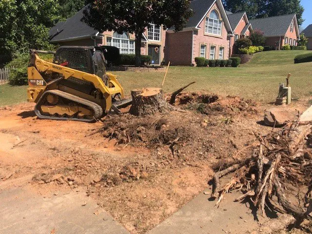 Trusted landscape design for residential properties across Buford, GA - North Georgia Lawn