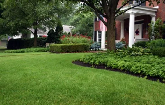 Custom landscaping services with custom design across Buford, GA - North Georgia Lawn