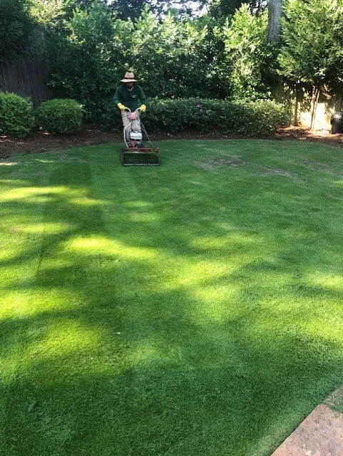 Reliable lawn care service for outdoor upgrades across Buford, GA - North Georgia Lawn