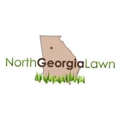 Professional lawn mowing service experts serving Buford, GA - North Georgia Lawn