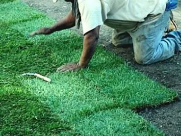 Professional landscaping services near you in Buford, GA by North Georgia Lawn