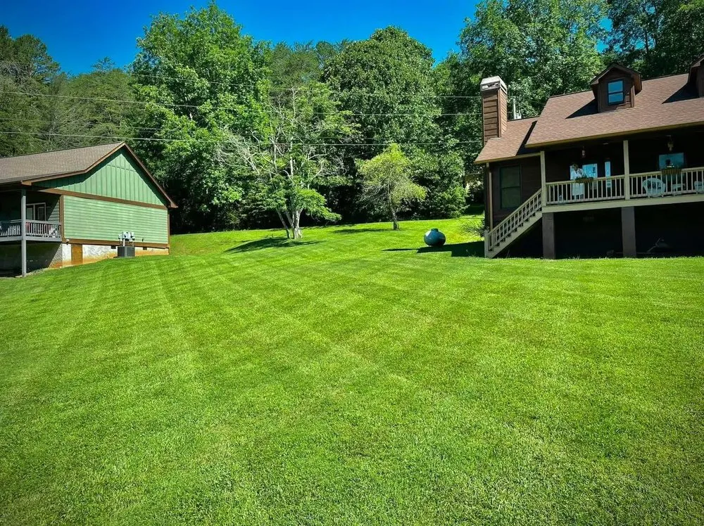Trusted landscape installation in Blairsville, GA by North Georgia Lawn Care