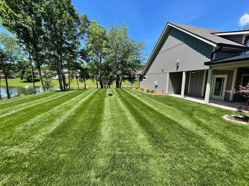 Local landscaping services for homes across Blairsville, GA - North Georgia Lawn Care
