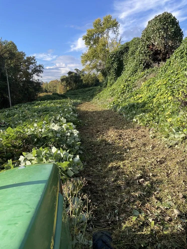 Affordable landscape installation in Blairsville, GA by North Georgia Lawn Care