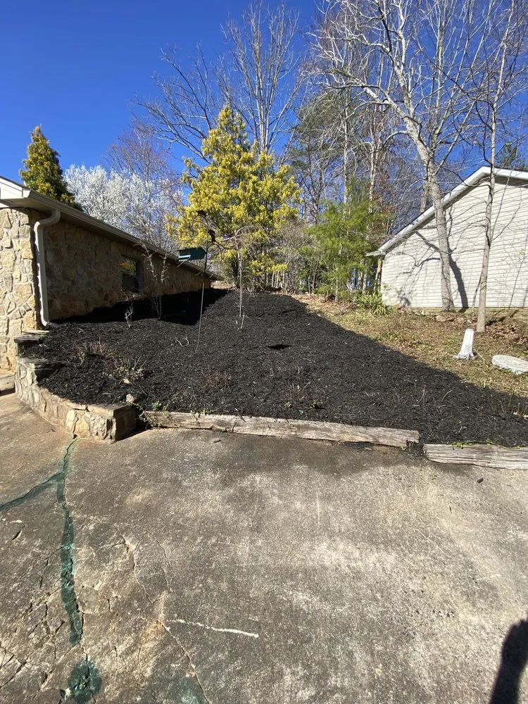 Professional yard cleanup service for residential properties in Blairsville, GA by North Georgia Lawn Care