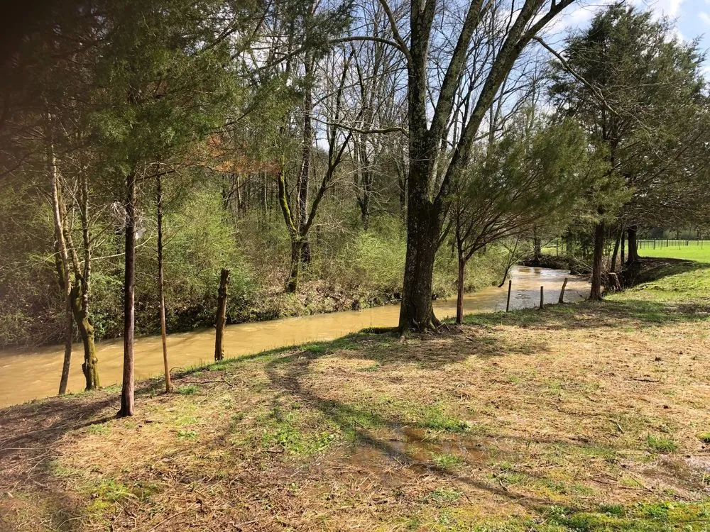 Trusted residential landscaping experts serving Chickamauga, GA - North Georgia Outdoor Cleanup