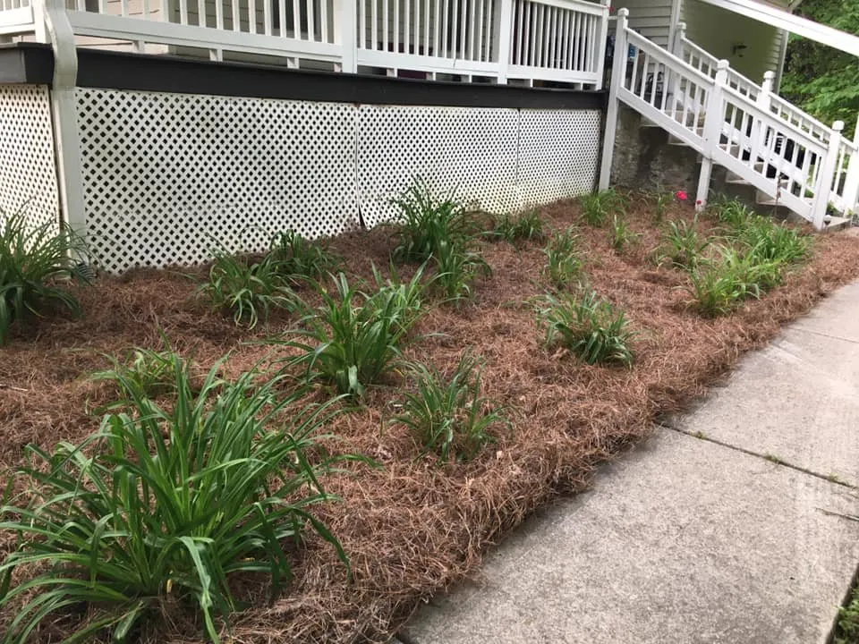 Reliable residential landscaping for homes across Dahlonega, GA - North Georgia Quality Landscaping