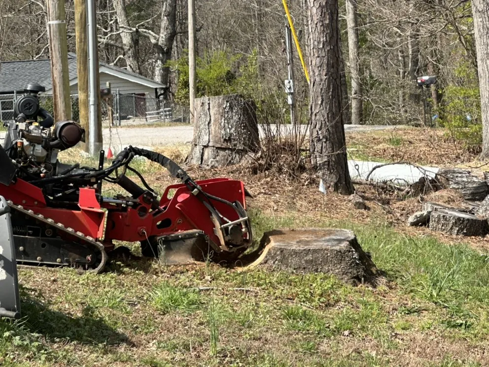 Trusted lawn care service for year-round maintenance in Gainesville, GA by North Georgia Stump Removal