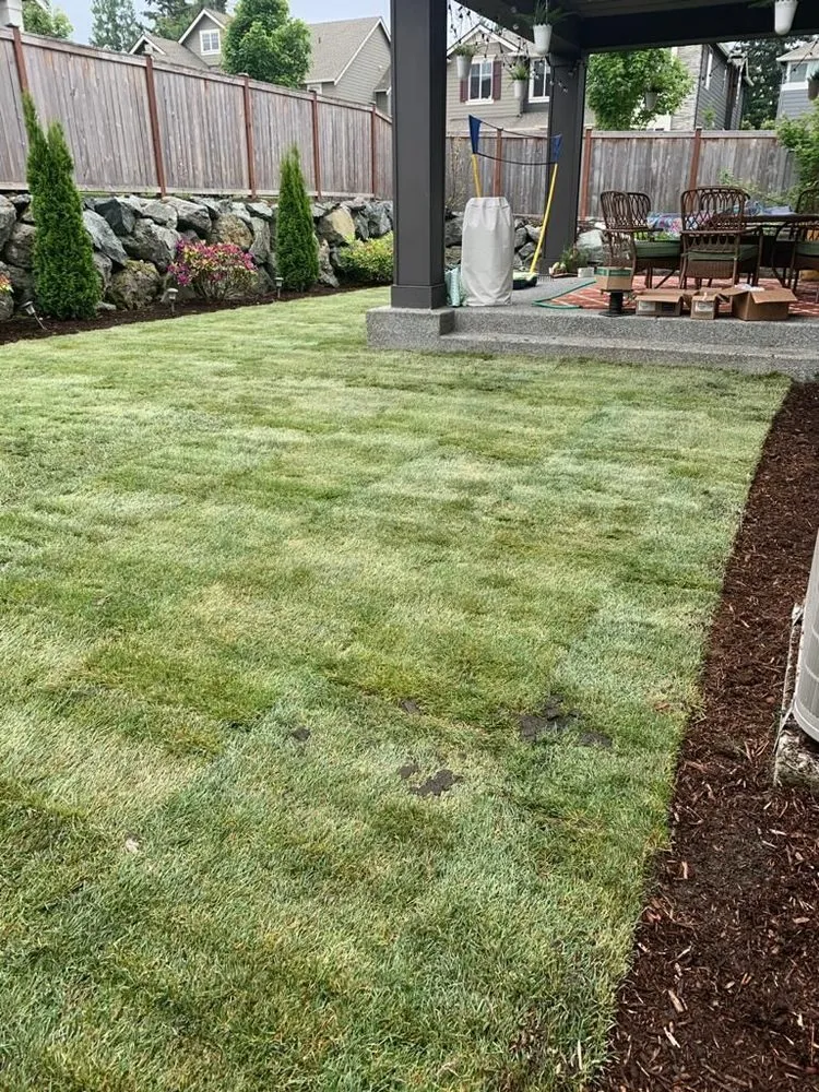 Top-rated yard maintenance in Kirkland, WA by North Green Landscaping