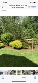 Top-rated lawn care service experts serving Kirkland, WA - North Green Landscaping