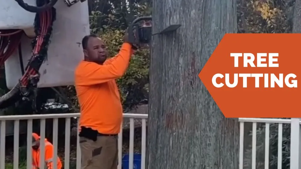 Custom yard maintenance in Norwalk, CT - North Greeny Landscaping