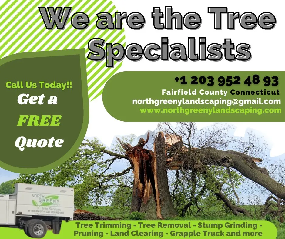 Local outdoor landscaping in Norwalk, CT by North Greeny Landscaping