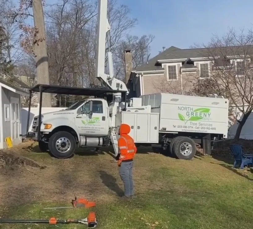 Custom yard maintenance for beautiful yards across Norwalk, CT - North Greeny Landscaping