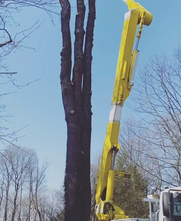 Custom lawn care service for outdoor upgrades in Norwalk, CT by North Greeny Landscaping